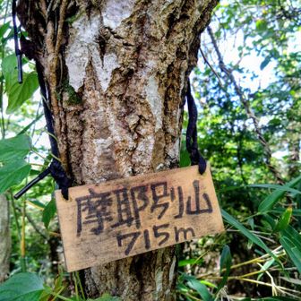 やっと見つけれました😅