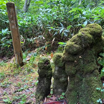 ブナ地蔵。倒れたブナの根が、お地蔵様に見えることから、こう名付けられたようだ。