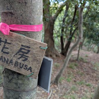 東側の花房(村)からも道が上がってきているようで