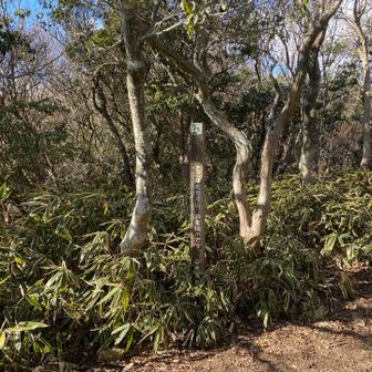 蛇谷北山。ここまでは結構駐車場からすぐだったような