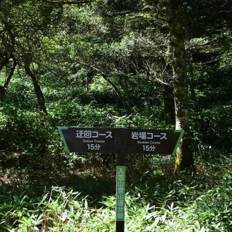 あと少しで山頂