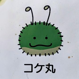 tan_iguchi