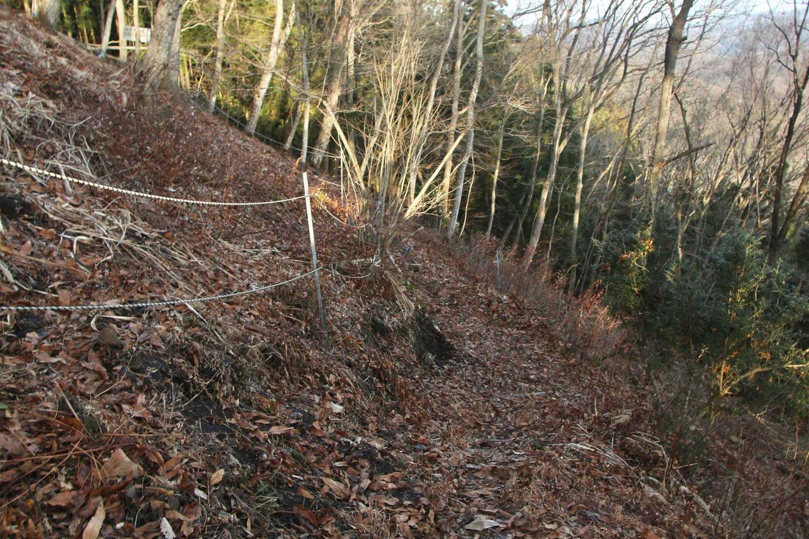 良く整備されている登山道です♪
直ぐに軟弱おやじが誘惑される、ベンチも沢山ある