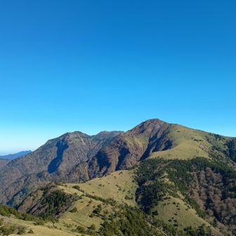 鞍瀬の頭への稜線と石鎚山頂。
堂ヶ森にはこれまでに二度登ったが石鎚山頂が見えたことはなく、晴天だとここまで間近に見えるものかと驚いた。