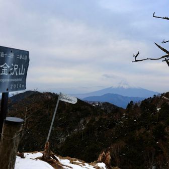 小金沢山
ここも牛奥ノ雁ヶ腹摺山と同じく
秀麗富嶽十二景の二番山頂