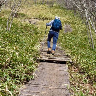 階段を見上げる