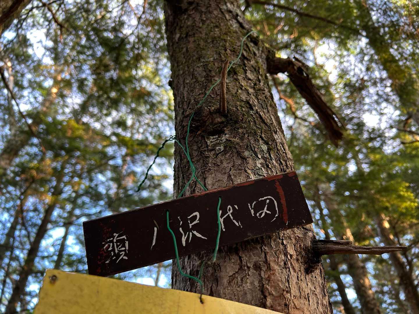 田代沢ノ頭に着く頃には、あたりはすっかり朝です！