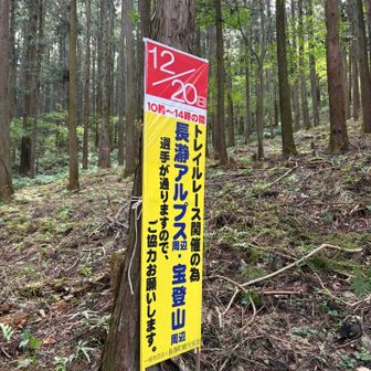 12月20日はトレラン大会のようで。