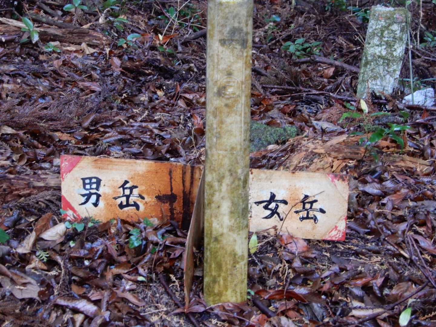 10分余で「○かま分岐」