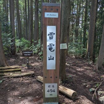 雷電山⚡かっこよ！