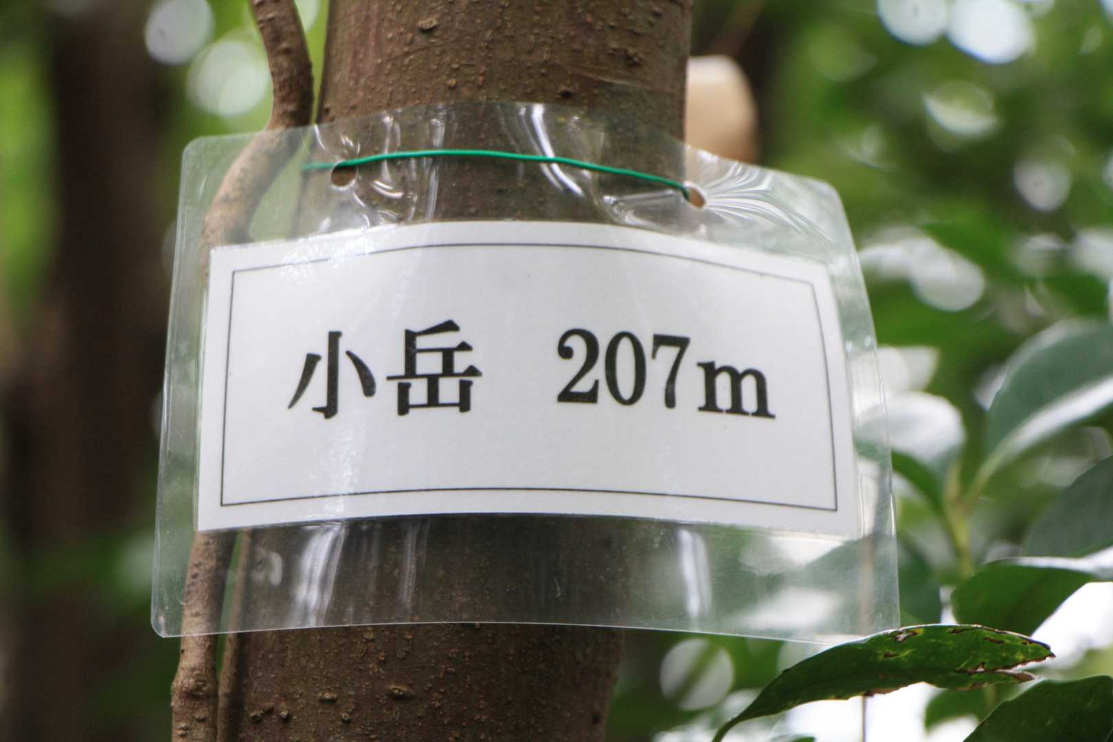 え~～い