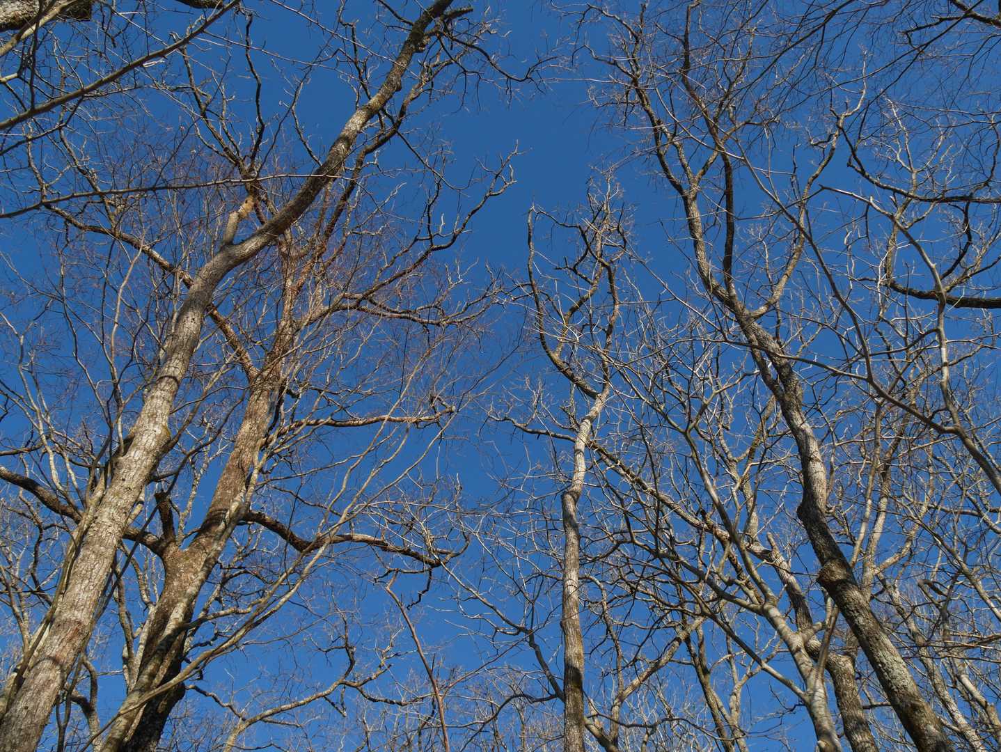 空が蒼い！