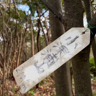 ついでにピークハント⛰