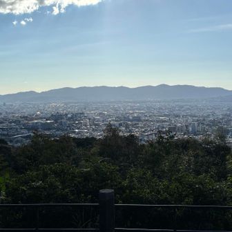 山名板は見つけられず…
眺望あり👀
本日はここまで！

この後、下山して安井金比羅宮で御守り購入🙌
いつも良きご縁を繋げてもらってるので感謝✨
ケガや病気との縁は切ってもらいたい🙏