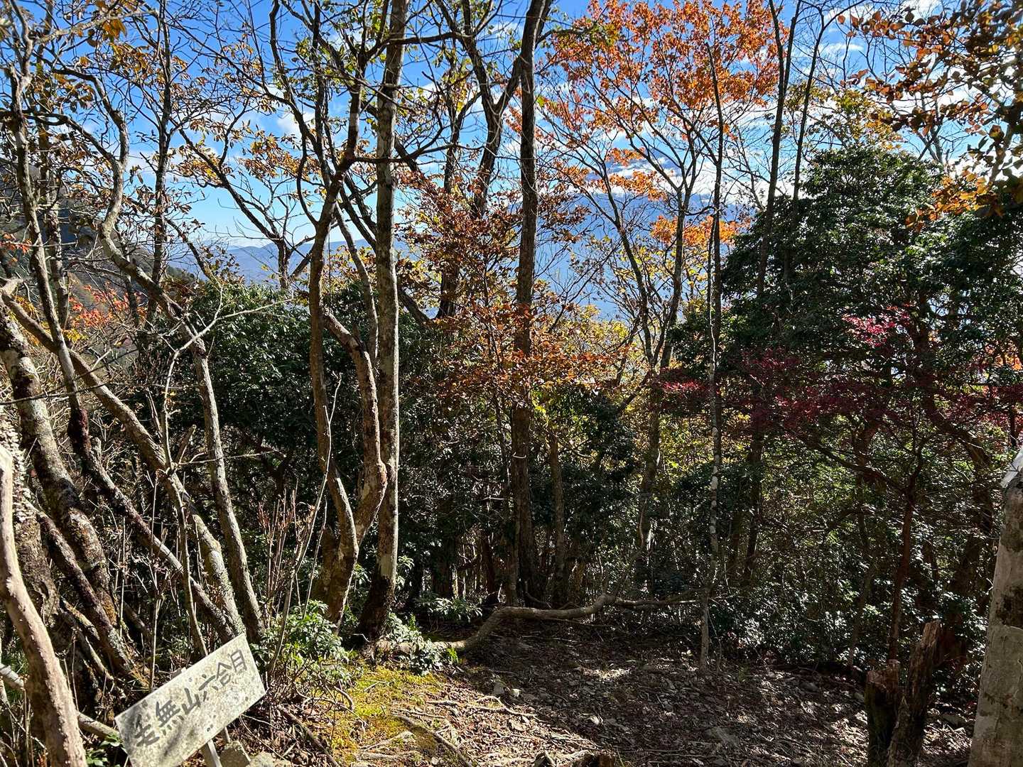 麓登山口-毛無山 往復コースの写真