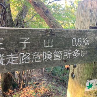 おっと
危険⚠️だとぉ