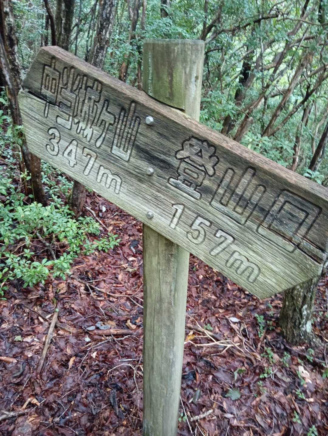 案内看板も有りました☺️