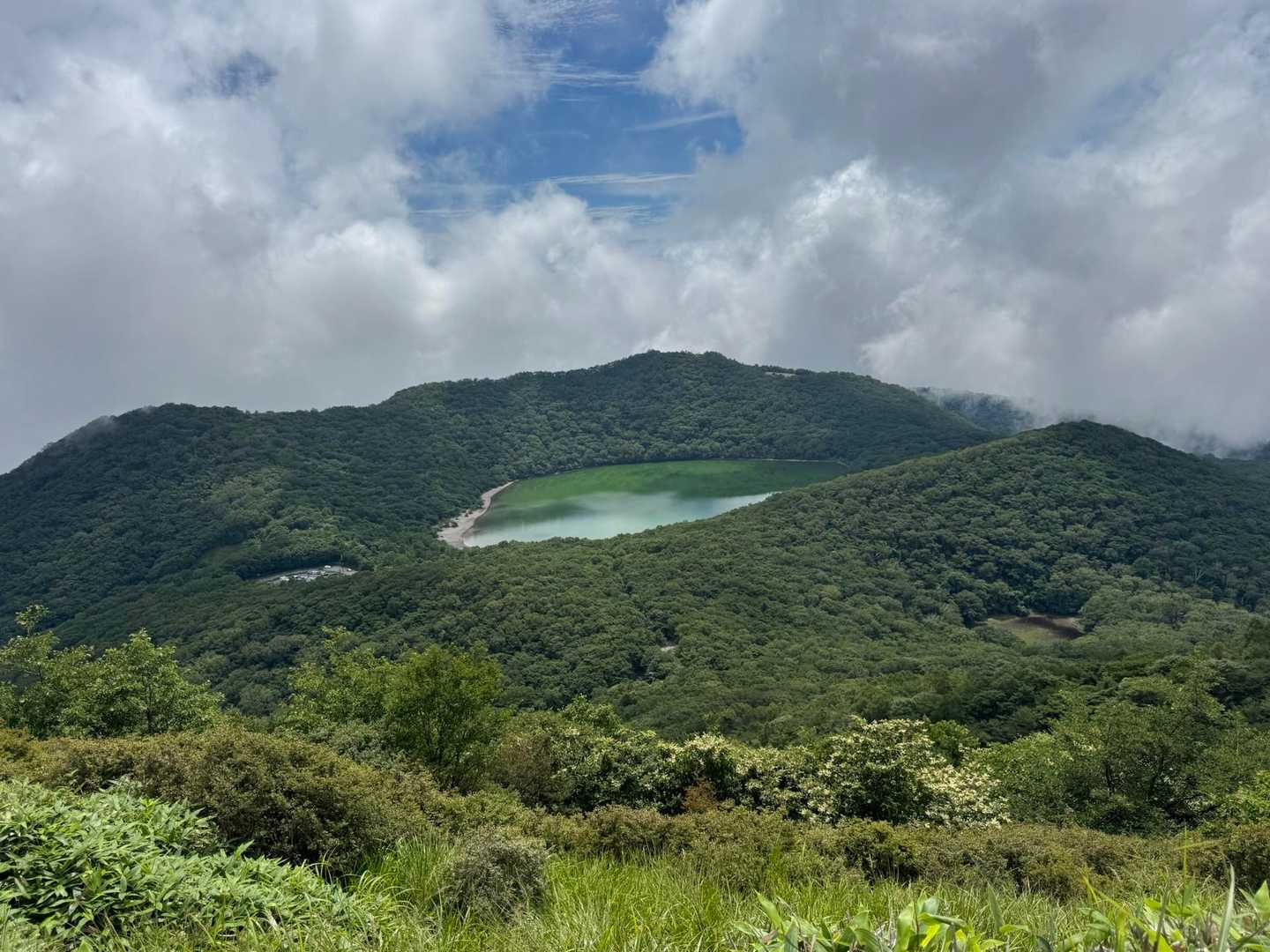 小沼