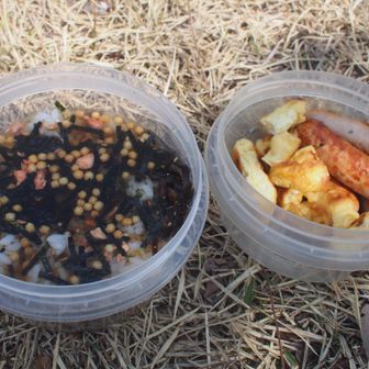 お昼。お茶漬けとソーセージ＆卵焼き