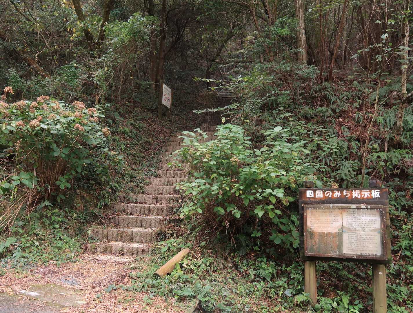何回目❓
ここから登るの。