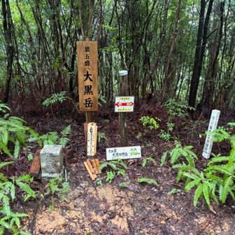 第5靡　大黒天神岳