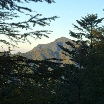 樹林帯の木の隙間から風イラズ🤩