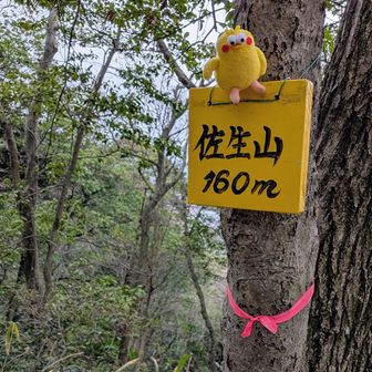 ①佐生山登頂です🙌ヽ(=´▽`=)ﾉ
相棒もお疲れ様💕