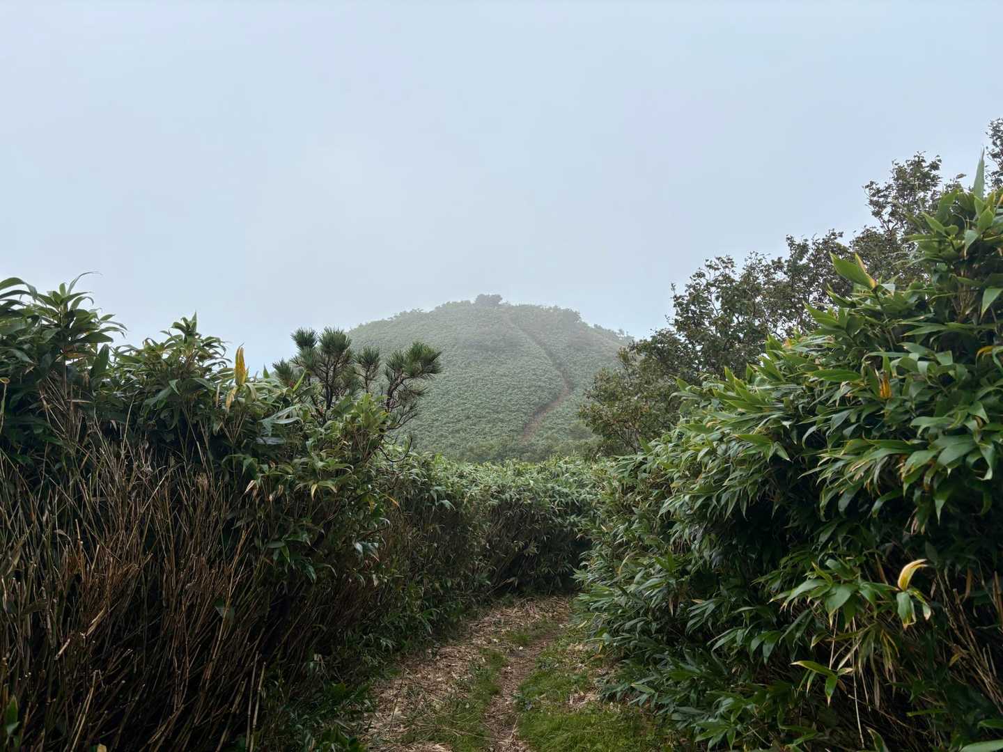 三頭山へ
