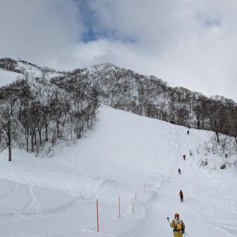 スタート
ソロの方が割と多くて心強いです🥹