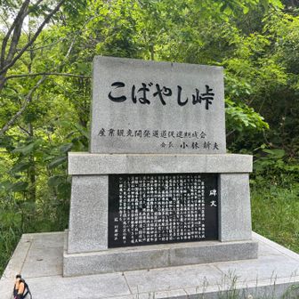 Google Mapによると会社まで登山口から徒歩17分らしい。

私なら徒歩8分かな？