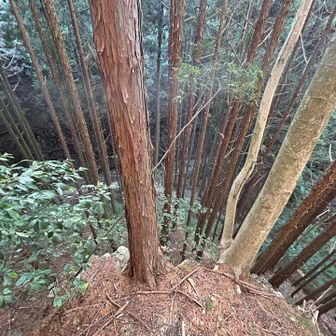 道が途切れた💦完全崖やん⁉️