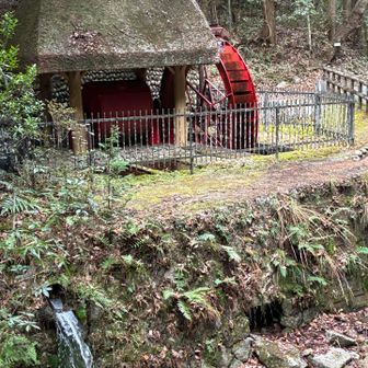 今日は水車がまわってた