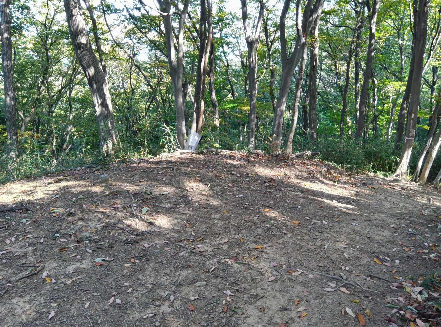 右手が用土コースで登ってきた方だけど、皆さんの軌跡が多い左手の道も良さそうなのでそちらに行ってみます😙