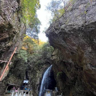 お正月前でキレイに整備されて気持ちよい