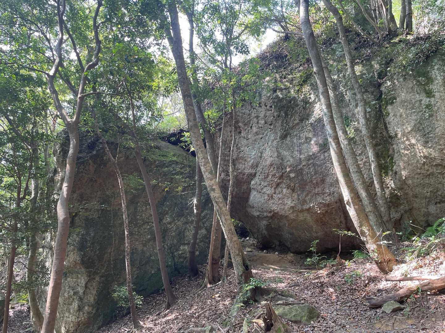巨石ゾーン。
