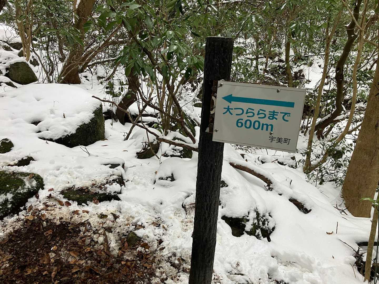大つらら🥶🥶🥶まで600m,
チェーン⛓️スパイク
どうしようかな？
