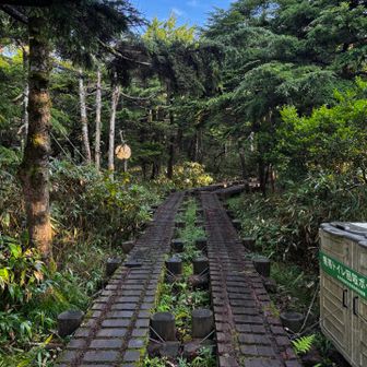 最初と山小屋手前は木道がありました