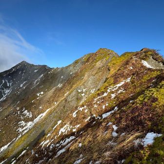 週半ばの寒気で真っ白に雪化粧することを期待