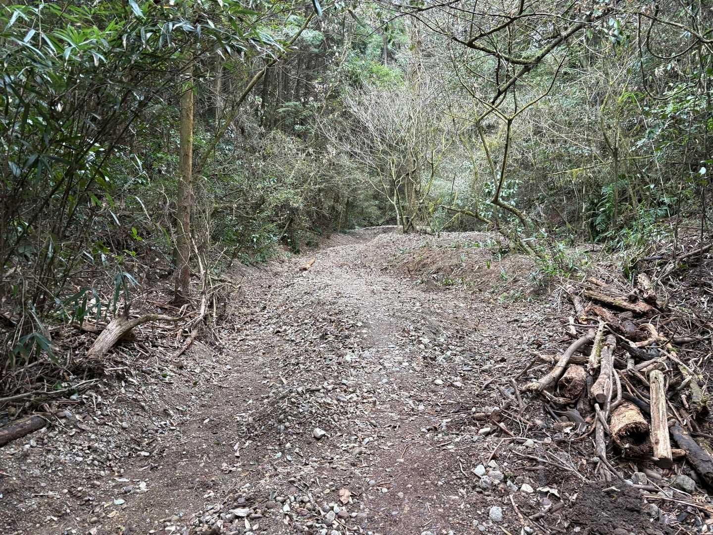 雁回山 周回コースの写真