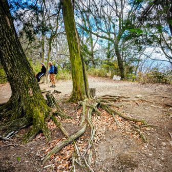 古山銘　極上人物根付　19g 東Y7-0722⭐︎2F 二上山（雄岳）・二上山（雌岳） / まさみんさんの金剛山・二上山