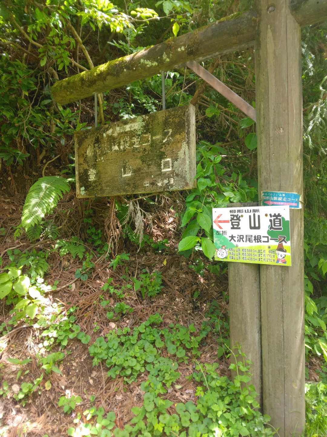 大沢登山口に無事下山
ここから林道を歩いて🅿️へ