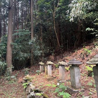 草の少なめな所を通って、
この奥から出てきました。