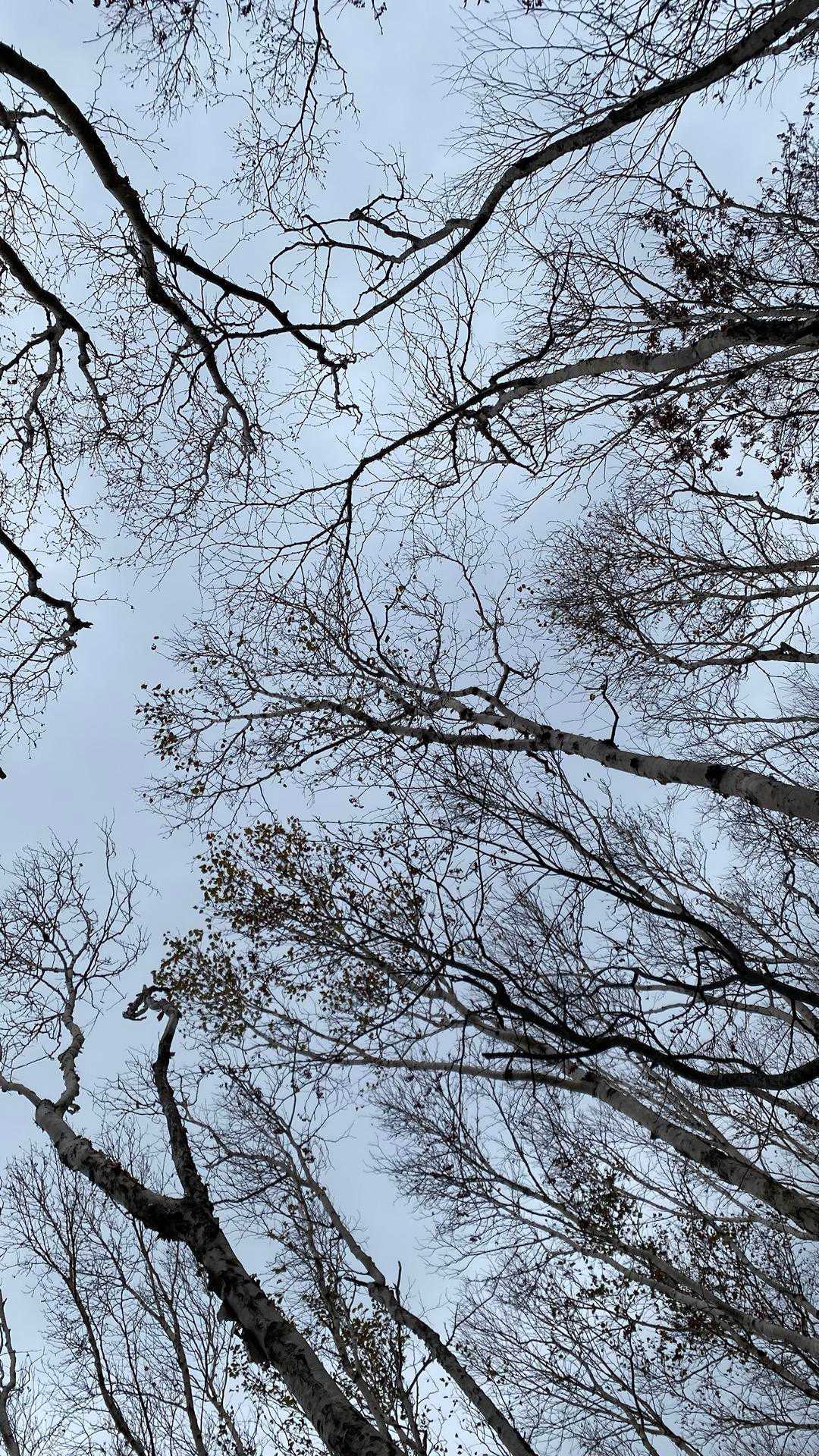 青空は🤔❓
確か、8時から快晴だったよね‼︎