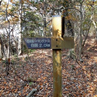 今回は西尾根コースから下山です。