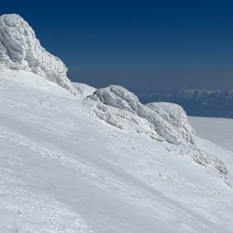 ニセ金庫岩も何かに変身🐛してる