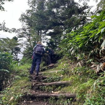 ところどころ大きな岩や階段の登りあり。
