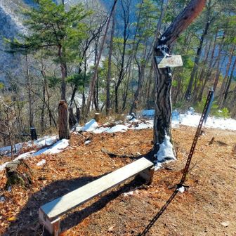 ベンチがありました