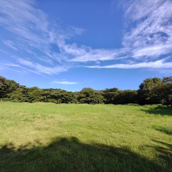 烽火台山▲
どなたかが制作してくださってた山頂標識が無くなってました😩