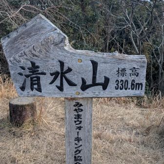 清水山