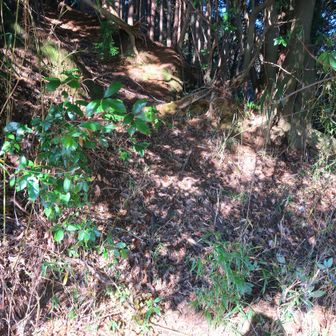 最後は亀山市関町[白木一色山]へ･･･